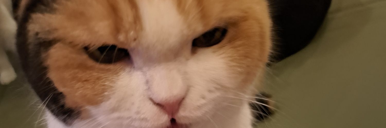 oreober689's profile banner image