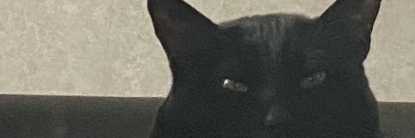 banebane_dayo Profile Banner