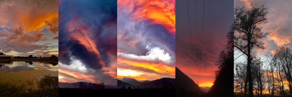 DeilamiNFT Profile Banner