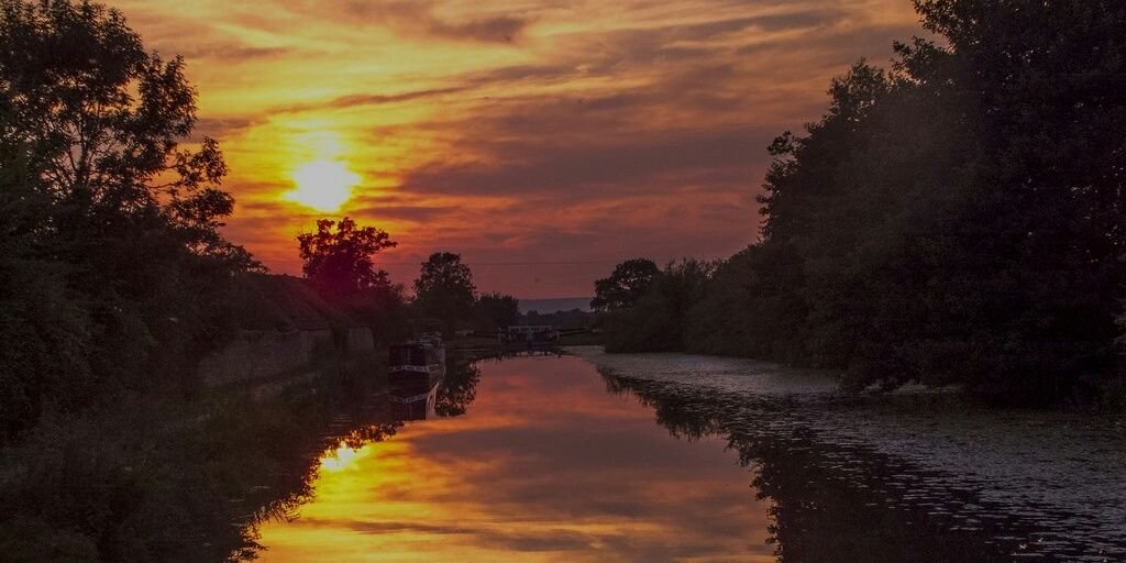 devizeslion's profile banner image