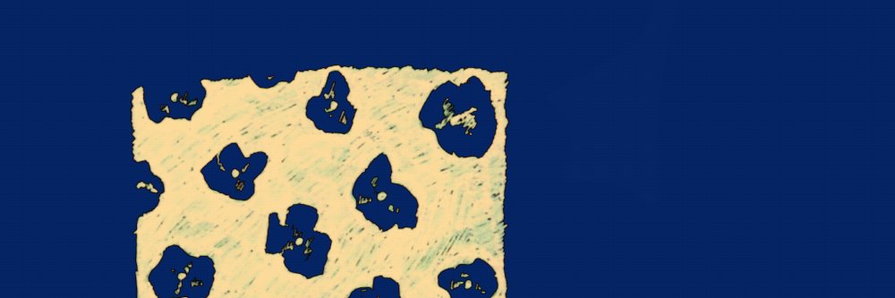 ささみの♀🔞 banner