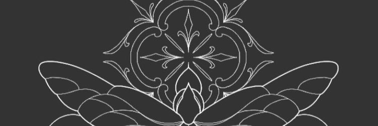 olgufts's profile banner image