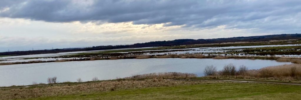 James Sheasby Thomas banner