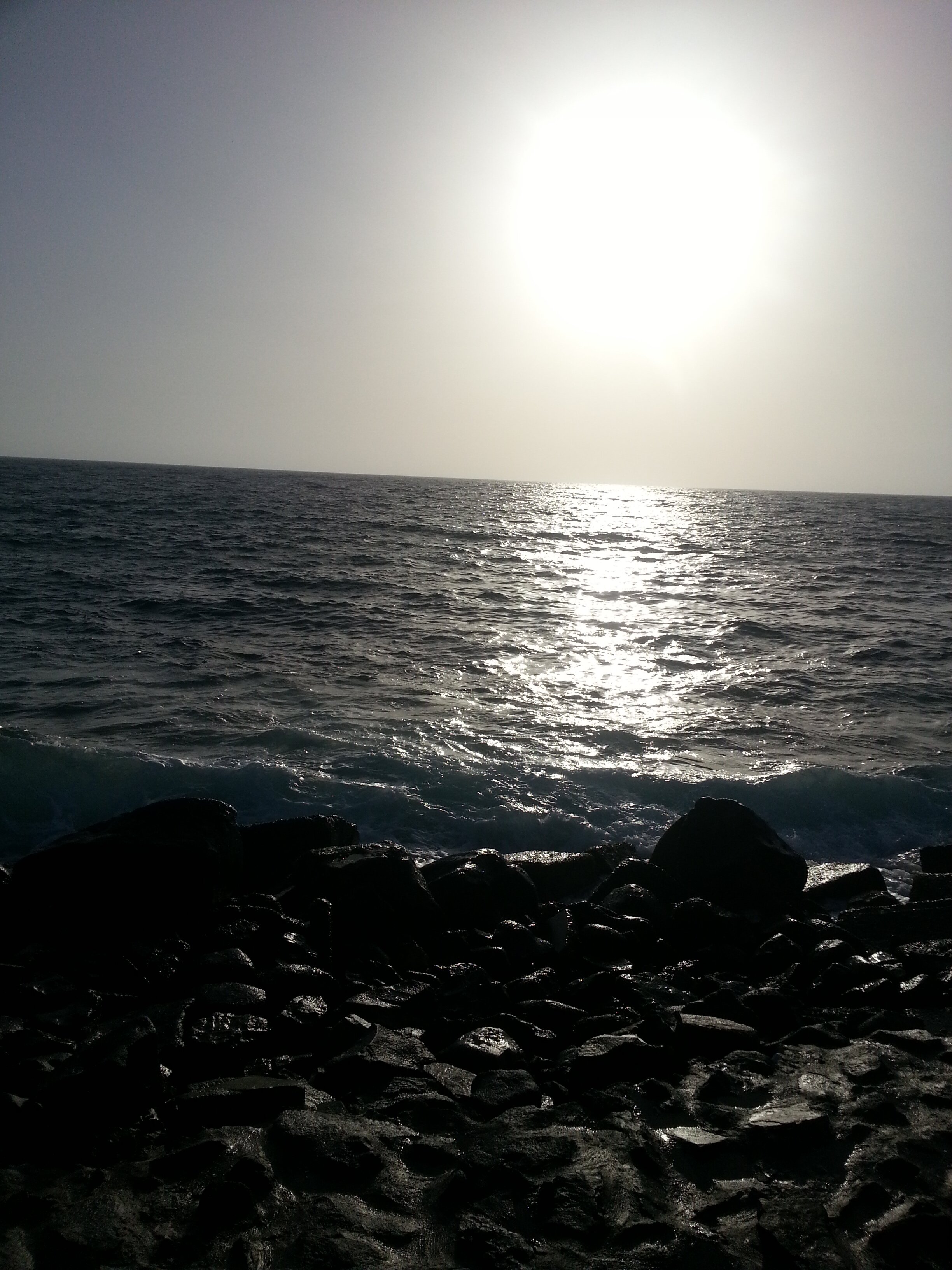 M3356M's profile banner image