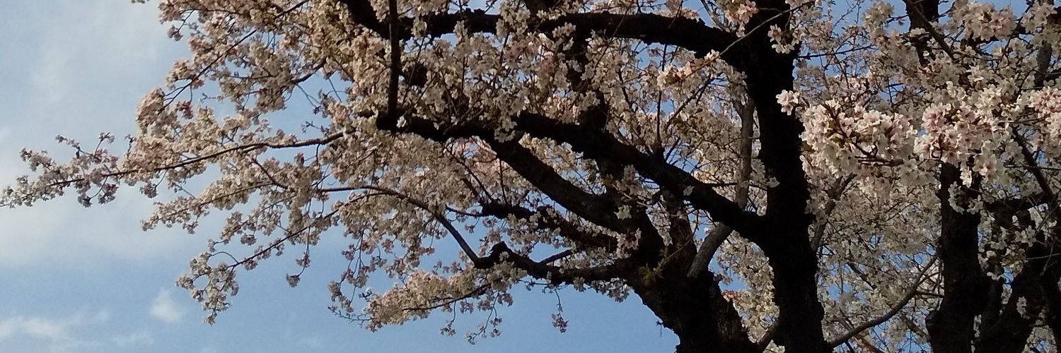 STEINER🇯🇵🤝🇺🇦、🇯🇵🤝🇹🇼 banner