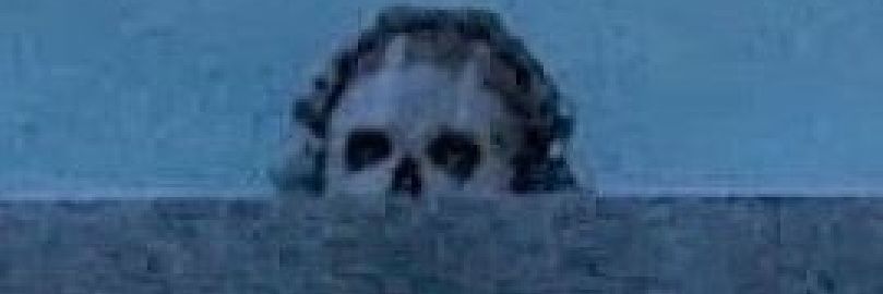 Seargeantmilk's profile banner image