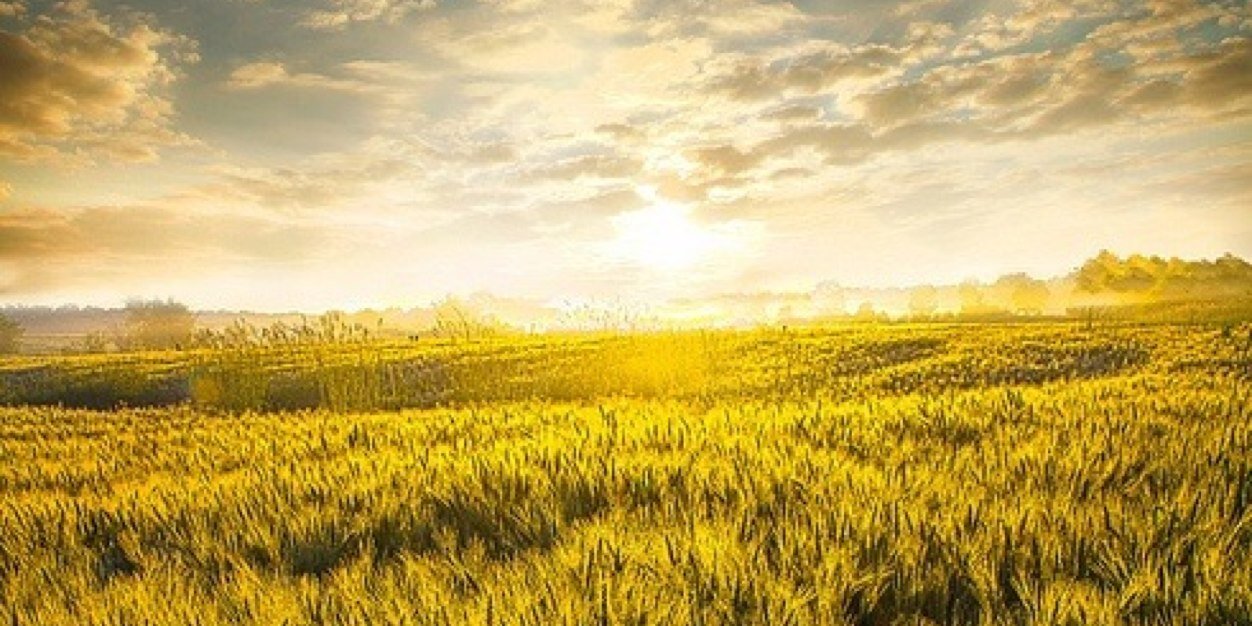 _His_sunshine_'s profile banner image