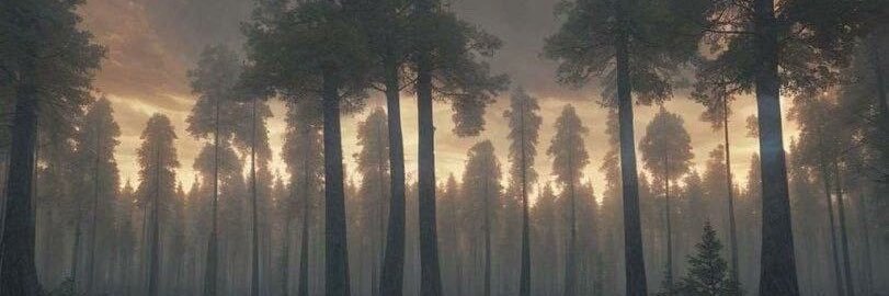 Во истину banner