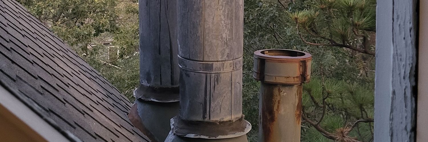 goodluckbiscuit's profile banner image