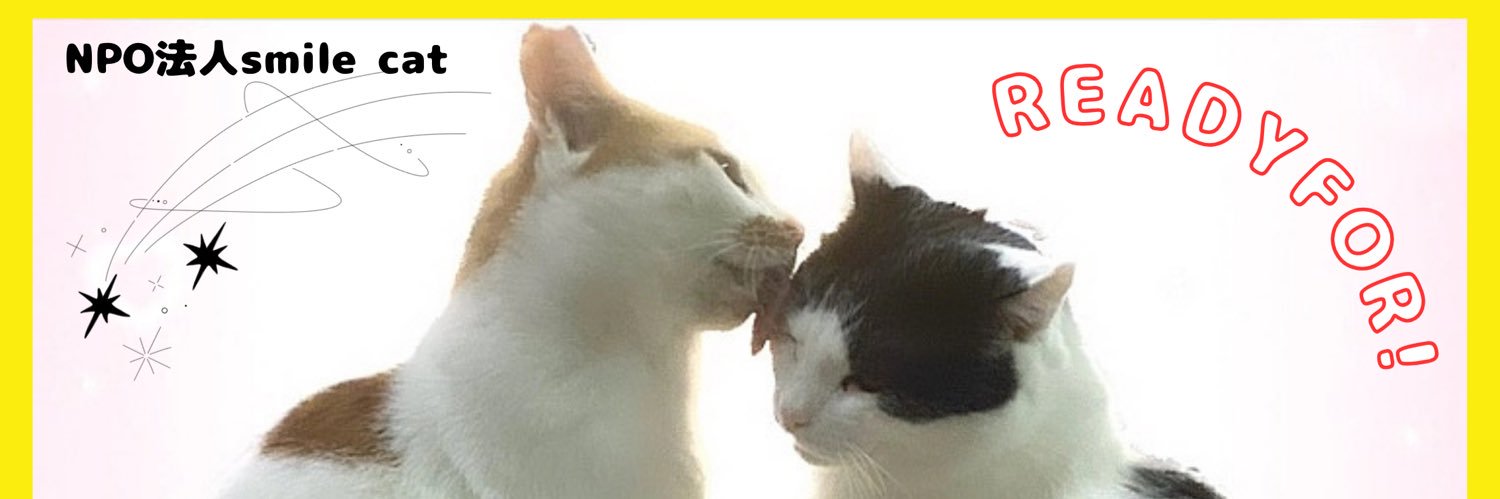smile_cat_'s profile banner image