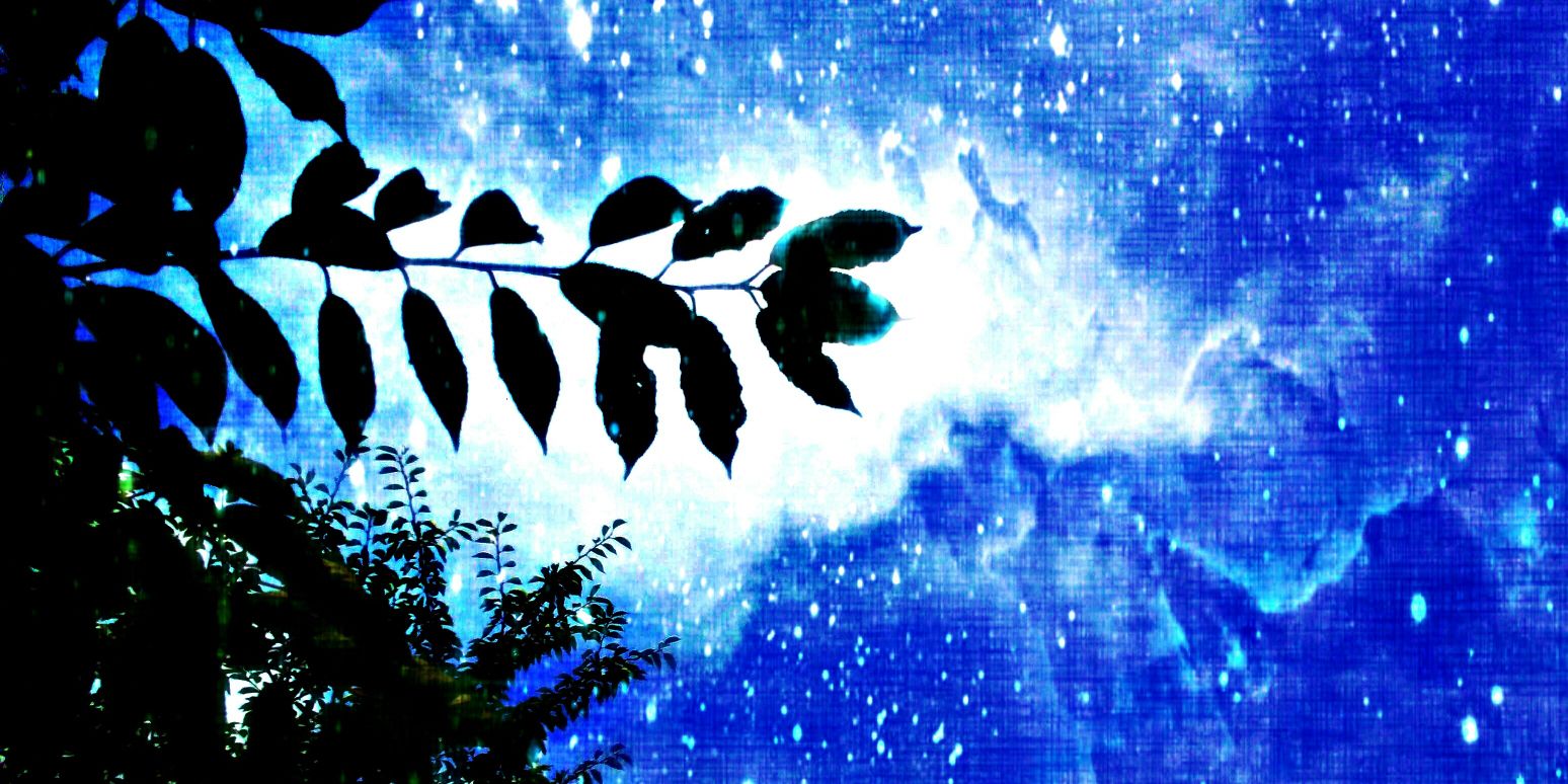 raitingraito_'s profile banner image
