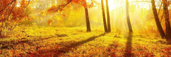 MarshaCrenshaw2 Profile Banner