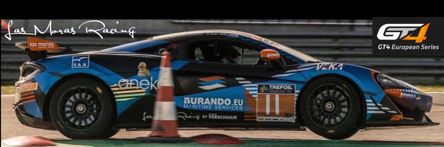 Liesette Braams banner