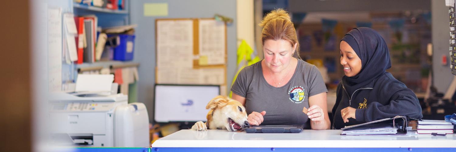 Dial A Geek 👨‍💻 banner