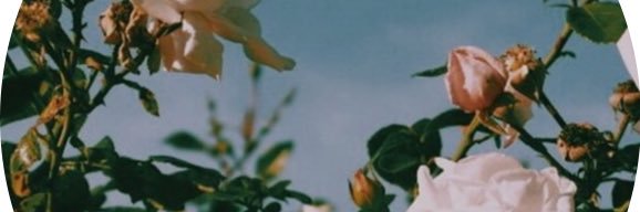 Alkhubizi's profile banner image