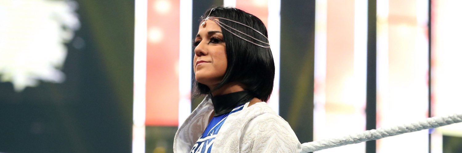 bayleywwe banner
