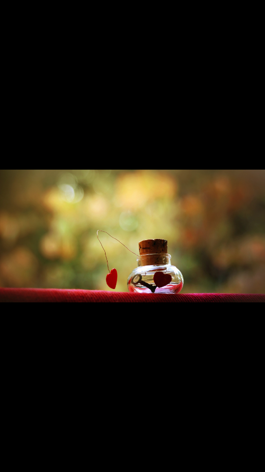 callie_beth03's profile banner image