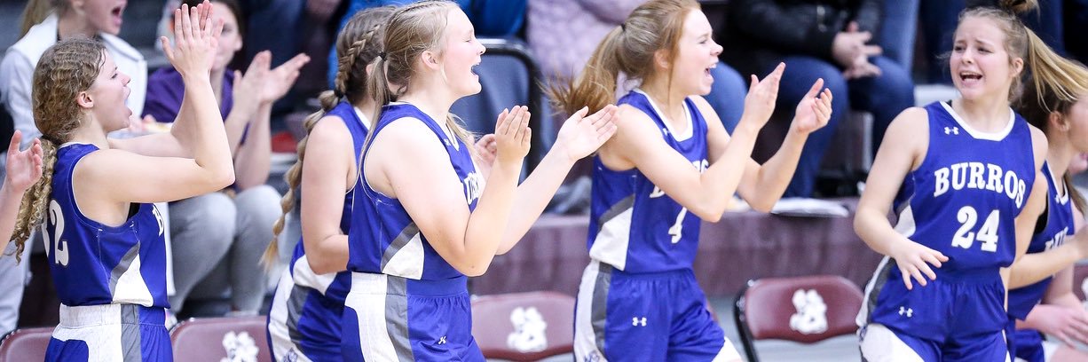 HCV Women’s Basketball banner