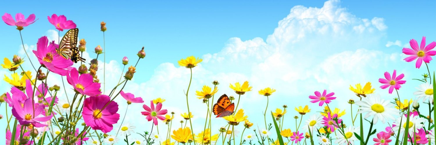 da_nisete's profile banner image
