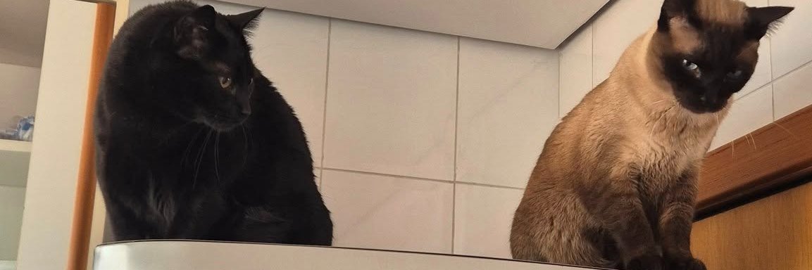 gabriel gripp banner