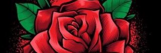 MaryuliApindo's profile banner image