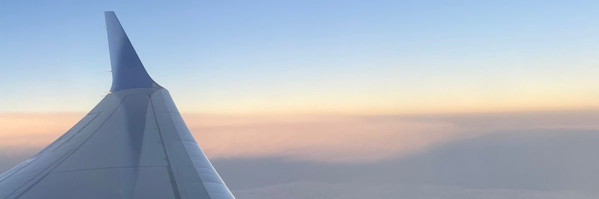 pelaezsoffia's profile banner image