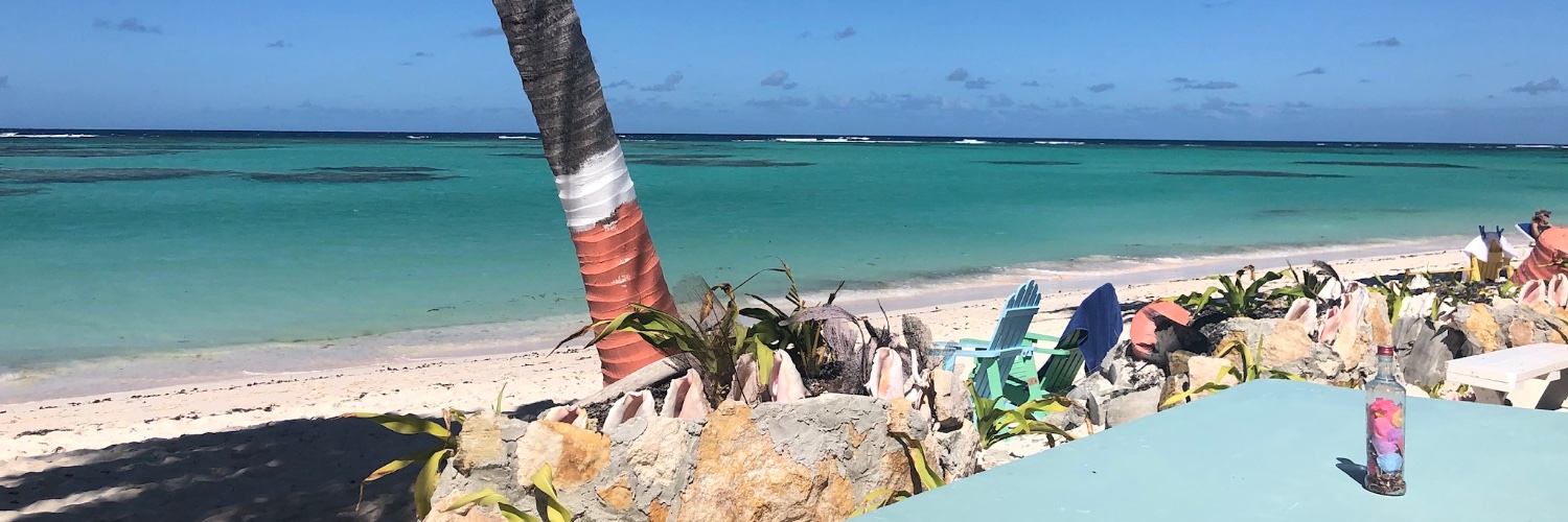 leils ليلى banner