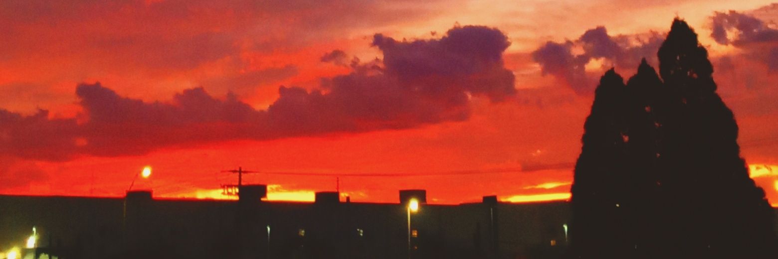 gabbokasas's profile banner image