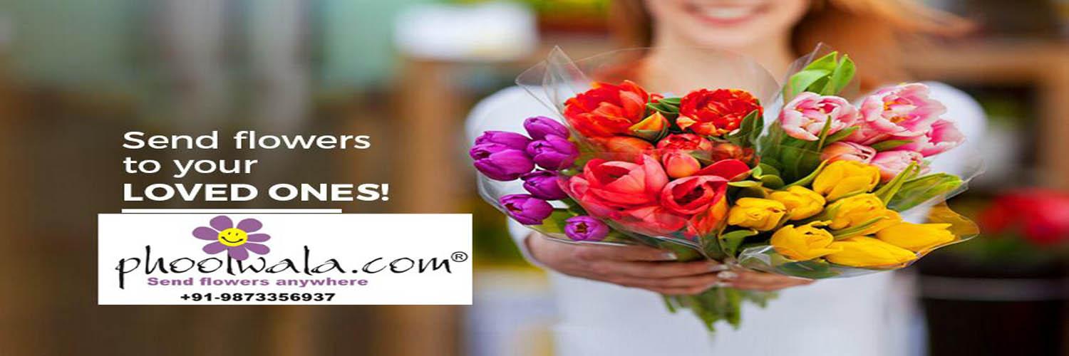 PhoolwalaDotCom's profile banner image