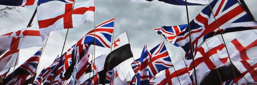 Steve Delaney 🇬🇧 banner