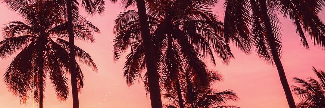 Sinta_Katalora's profile banner image