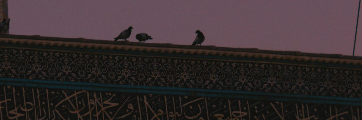 busraakyoll_'s profile banner image
