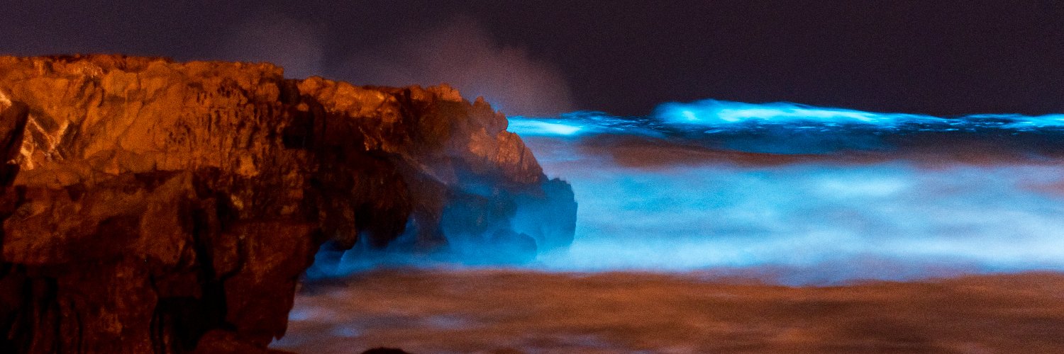 Philippe Portes banner