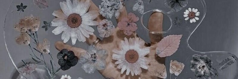 sibaaa842's profile banner image