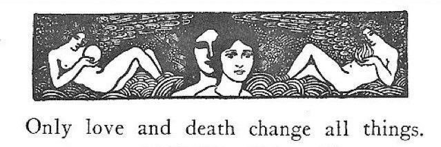 mariladevo's profile banner image