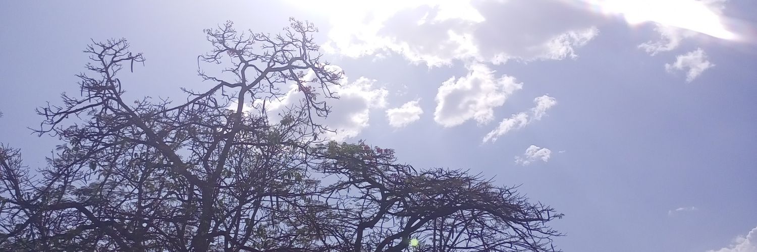 Street Prophet 🙏 banner