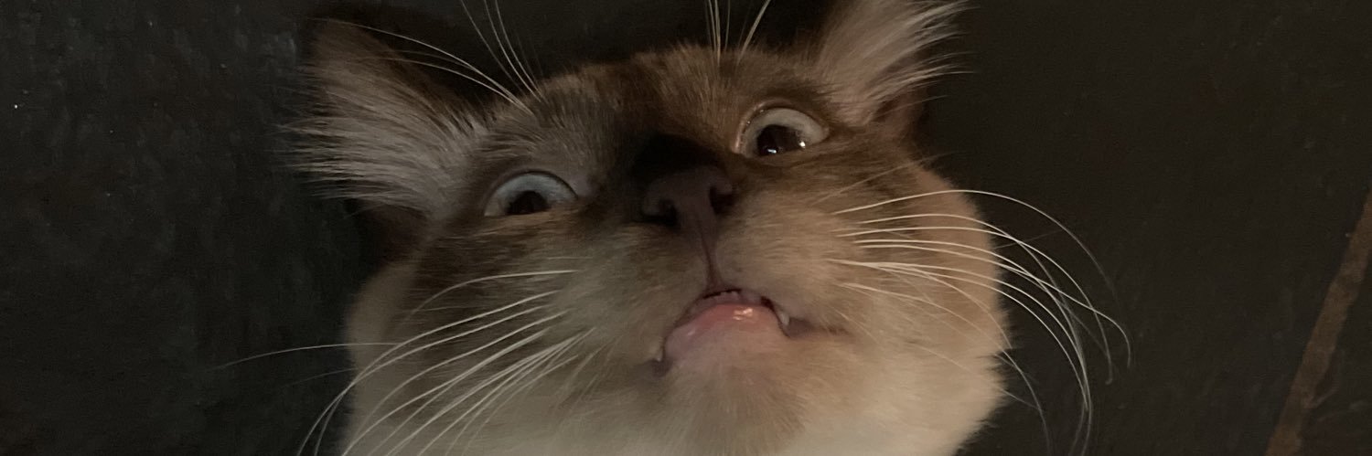 maiaskyee's profile banner image