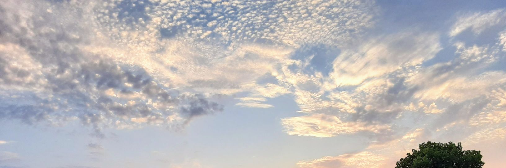 The OTHER Christopher Lee 🇺🇸 banner