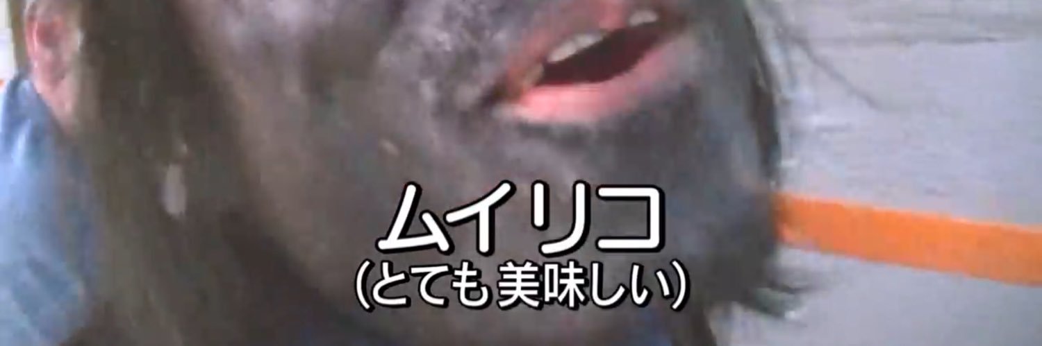 元気なおさかな's banner