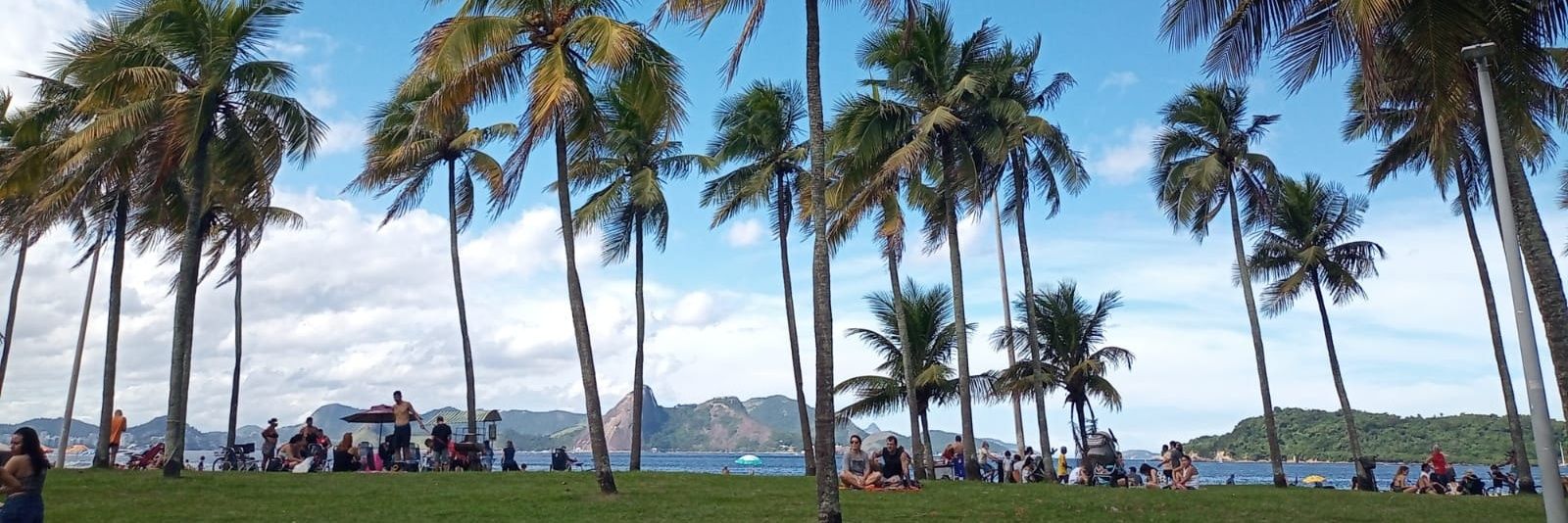 Franco Pastura banner