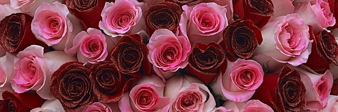 Kimberlinmata's profile banner image