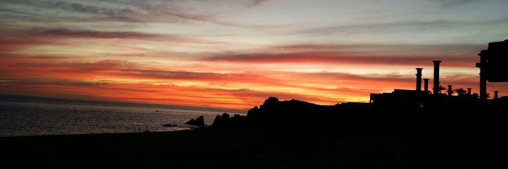 Smita Mittal Gupta 🌺 banner