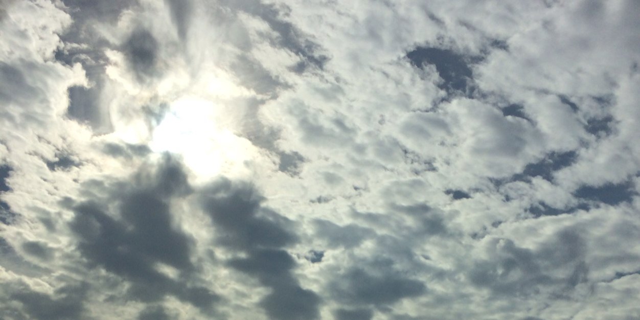 lfox3's profile banner image