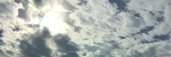 lfox3 Profile Banner