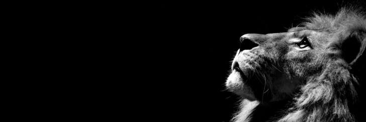 nattyvg's profile banner image