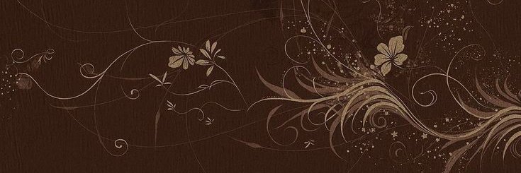 becrgamot's profile banner image