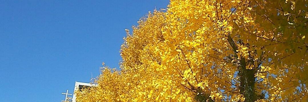 vivanon55's profile banner image