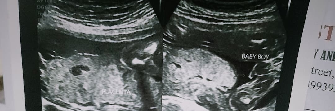 imjacellemay's profile banner image