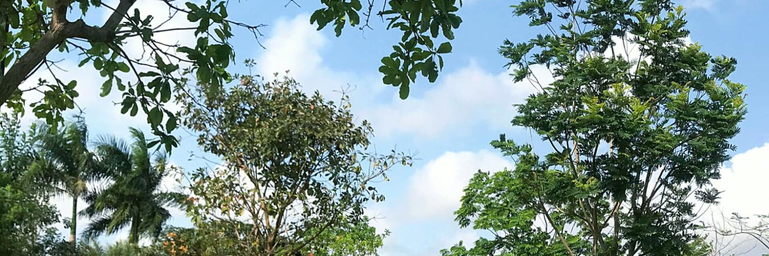 泉守兼定 banner