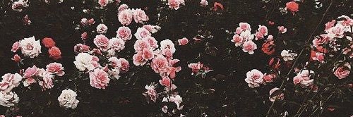 kittyfvck's profile banner image